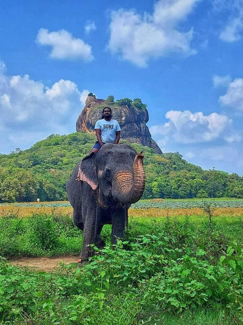 Amron Resort Sigiriya Værelse billede
